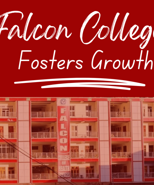 Falcon No1 collage in madyan swat