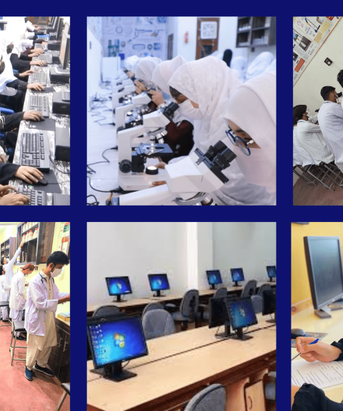 falcon health and science college madyan labs